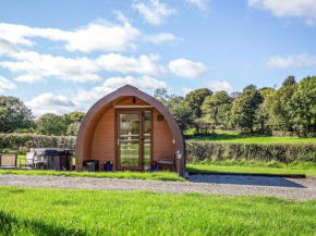 Bwthyn Bach Brefi - Uk31919
